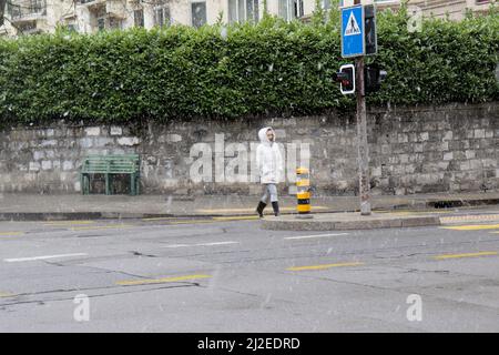 Ginevra, Svizzera, 2022-04-01 la donna attraversa la strada attraverso la neve. Il primo giorno di aprile è iniziato con il tempo del vino. Credit: marcio cimatti/Alamy Live News Foto Stock