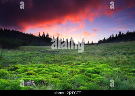 bella mattina nel paesaggio di montagna Foto Stock