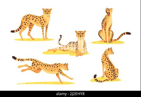 Set di cartoon leopard. giaguaro selvaggio, gatto ghepardo in piedi, mentendo, seduto, in corsa, salto isolato su bianco. Illustrazione vettoriale per animale della giungla, wil Illustrazione Vettoriale