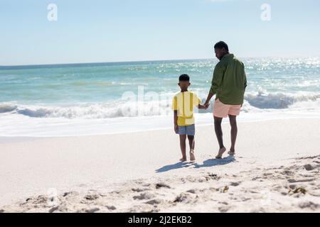 Vista posteriore a tutta lunghezza del padre e del figlio afro-americani in piedi in spiaggia in giorno di sole Foto Stock