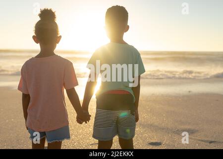 Vista posteriore dei fratelli afroamericani che tengono le mani mentre osservano il tramonto sul mare dalla spiaggia Foto Stock