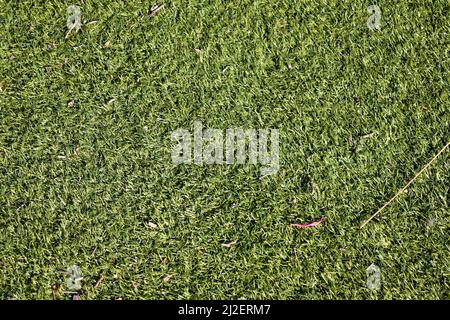 Una vista dall'alto del prato artificiale verde Foto Stock