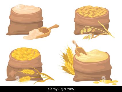 Set di illustrazioni vettoriali per sacchi di grano, segale e farina. Sacchi con orzo e cereali di avena, semi isolati su sfondo bianco. Agricoltura, agricoltura, agr Illustrazione Vettoriale