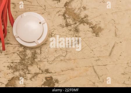 Sensore antincendio montato a soffitto. Moderno rilevatore di fumo a  soffitto Foto stock - Alamy