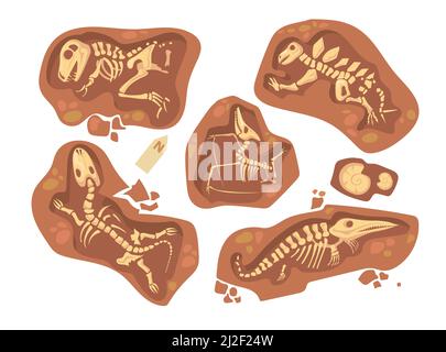 Set di cartoni animati di diversi fossili di dinosauri. Illustrazione vettoriale piatta. Raccolta di scheletri rettili preistorici e ossa sdraiate nel sottosuolo. Paleonto Illustrazione Vettoriale