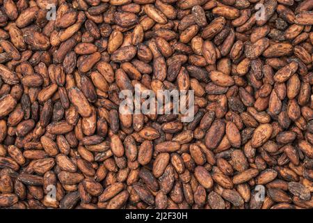 Una vista dall'alto dei chicchi di cacao sparsi Foto Stock