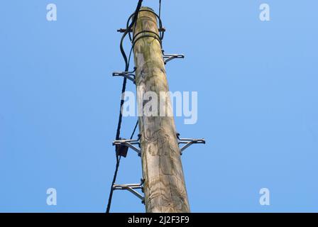 Scalini Telegraph e infrastruttura (cavo di rame). Foto Stock