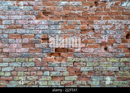 grunge muro di mattoni sfondo texture da vecchio edificio industriale con i resti di vernice Foto Stock