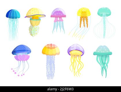 Creative diversi meduse set piatto per il web design. Cartoon cute nuoto creature marine isolato vettore illustrazione collezione. Fauna selvatica e o Illustrazione Vettoriale