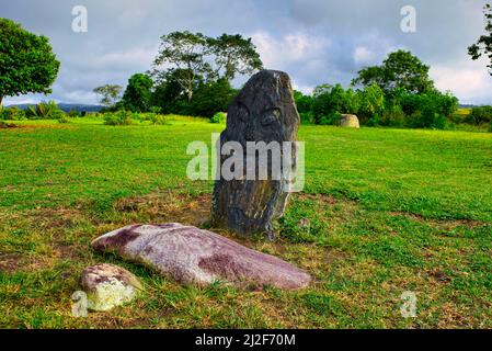 Il sito Megalitico Pokekea è un sito archeologico megalitico situato nel Parco Nazionale Lore Lindu. Si trova nella Valle di Behoa a nord-ovest di Bada V. Foto Stock