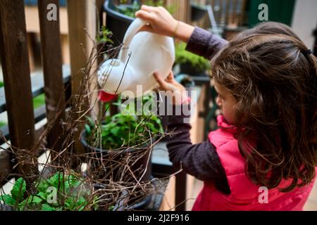 ragazza annaffiatura piante in vaso in primavera con anatra a forma di annaffiatura può Foto Stock