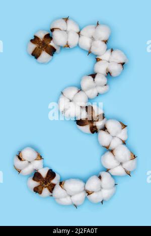 Numero 3 fatto di fiori di cotone e isolato su fondo blu massiccio. Concetto di numeri floreali. Un numero del set di caratteri in cotone facile da impilare. Foto Stock