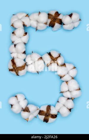 Numero 5 fatto di fiori di cotone e isolato su fondo blu massiccio. Concetto di numeri floreali. Un numero del set di caratteri in cotone facile da impilare. Foto Stock