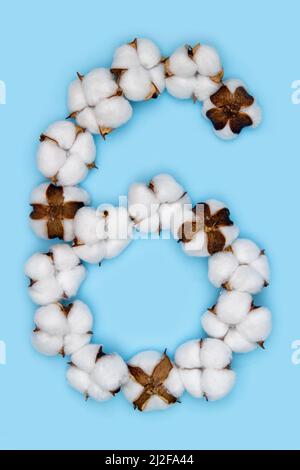 Numero 6 fatto di fiori di cotone e isolato su fondo blu massiccio. Concetto di numeri floreali. Un numero del set di caratteri in cotone facile da impilare. Foto Stock