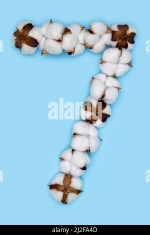 Numero 7 fatto di fiori di cotone e isolato su fondo blu massiccio. Concetto di numeri floreali. Un numero del set di caratteri in cotone facile da impilare. Foto Stock