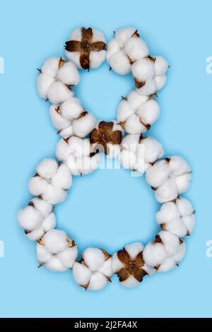 Numero 8 fatto di fiori di cotone e isolato su fondo blu massiccio. Concetto di numeri floreali. Un numero del set di caratteri in cotone facile da impilare. Foto Stock
