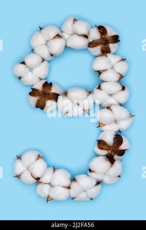 Numero 9 fatto di fiori di cotone e isolato su fondo blu massiccio. Concetto di numeri floreali. Un numero del set di caratteri in cotone facile da impilare. Foto Stock