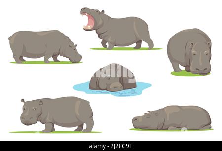 Hippo in diverse pose piatto set per web design. Creatura selvaggia Cartoon in piedi, seduto e a piedi su sfondo bianco vettore illustrazione colletti Illustrazione Vettoriale