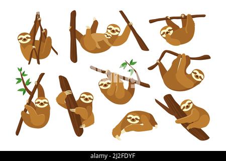 Cute sloth su ramo piatta foto raccolta. Cartoon divertente sloth appeso sul ramo dell'albero, addormentato, sorridente illustrazioni vettoriali isolate. Animali An Illustrazione Vettoriale
