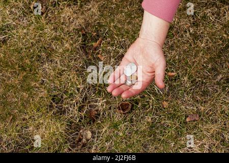 Ultimi soldi per generi alimentari. Monete nelle mani di una donna di mezza età. Il concetto di crisi alimentare mondiale associato alla guerra in Ucraina. Foto Stock