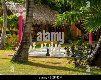 Scacchiera e pezzi di scacchi su un prato tropicale del resort Foto Stock