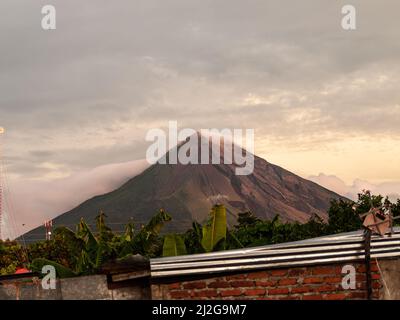 Volcan Concepcion con Baltimore Orioles appollaiato su fili in primo piano. Foto Stock