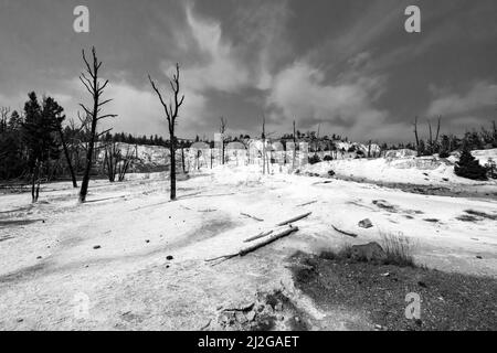 Il sole estivo splende sulle terrazze delle sorgenti termali di Mammoth nel Parco Nazionale di Yellowstone Foto Stock