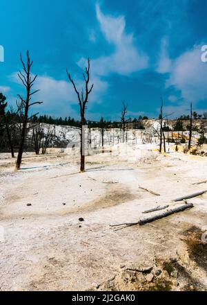 Il sole estivo splende sulle terrazze delle sorgenti termali di Mammoth nel Parco Nazionale di Yellowstone Foto Stock