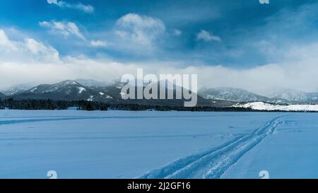 Piste per motoslitte nella Sawtooth National Recreation Area, Idaho Foto Stock