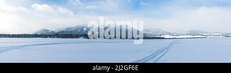 Piste per motoslitte nella Sawtooth National Recreation Area, Idaho Foto Stock