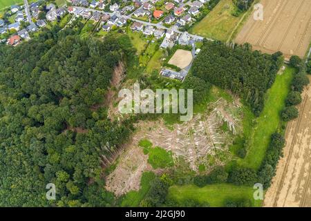 Vista aerea, vista locale del distretto di Hohenheide con danni alla foresta in den Wächelten a Fröndenberg, Fröndenberg/Ruhr, zona della Ruhr, Renania settentrionale-Vestfalia Foto Stock