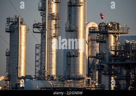 Lyondell Chemical Netherlands BV, stabilimento chimico, impresa comune tra LyondellBasell e Covestro, il più grande stabilimento del settore nel mondo, produce Foto Stock