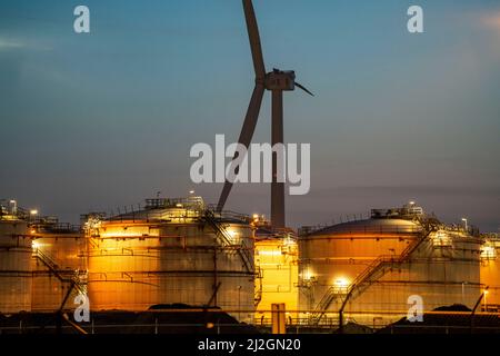 Lyondell Chemical Netherlands BV, stabilimento chimico, impresa comune tra LyondellBasell e Covestro, il più grande stabilimento del settore nel mondo, produce Foto Stock