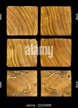 Grana di legno texture. Legno di carpino Wormy, può essere usato come sfondo, sfondo del modello Foto Stock