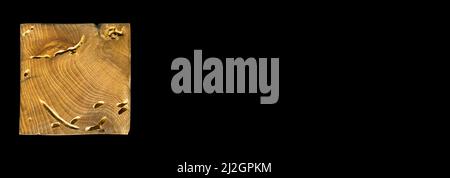 Grana di legno texture. Legno di carpino Wormy, può essere usato come sfondo, sfondo del modello Foto Stock