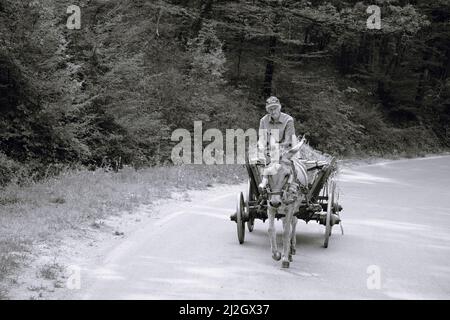 BELOGRADCHIK, BULGARIA - 06 AGOSTO 2017: Immagine desaturata di asino tirando un vecchio uomo su carrello di legno nella campagna vicino Belogradchik Foto Stock