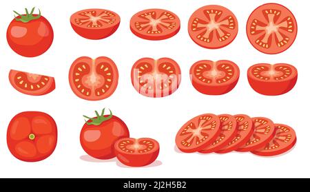 Set colorato di pomodori rossi tagliati e pieni. Illustrazione vettoriale cartoon. Pomodori di diverse angolazioni e forme, tagliati a pezzi, freschi prodotti agricoli. Illustrazione Vettoriale