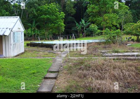 SAN ANTONIO, BELIZE - 26 OTTOBRE 2015 rovine della base di pattuglia dell'esercito britannico a Salamanca Camp Pool Foto Stock