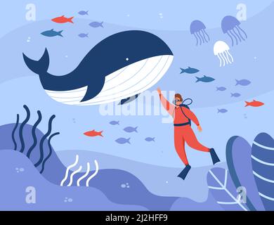 Piccolo subacqueo cartoon e balena nuoto in mare o oceano. Uomo in acquario con diversi tipi di pesci, meduse tropicali flat vettoriale illustrati Illustrazione Vettoriale