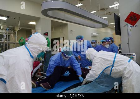 Shanghai. 1st Apr 2022. Gli operatori sanitari trasferiscono un paziente in un letto presso il centro di emergenza del Ruijin Hospital a Shanghai, Cina orientale, 1 aprile 2022. L'ospedale Ruijin ha ottimizzato i suoi servizi di emergenza nell'ultima rinascita COVID-19 a Shanghai. Più personale è stato assegnato per rafforzare la capacità di emergenza. Credit: Yuan Quan/Xinhua/Alamy Live News Foto Stock