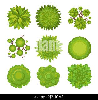 Vista dall'alto di alberi e cespugli set di illustrazioni vettoriali. Elementi paesaggistici per giardino, parco o foresta, piante per disegno mappa isolato su backgrou bianco Illustrazione Vettoriale