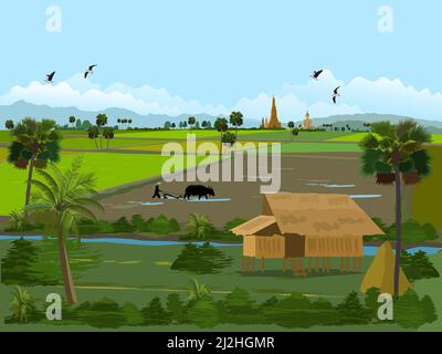 Campi di riso in Thailandia. Case di agricoltori in campi verdi. Agricoltori che arano campi con palme da zucchero, campi di riso, montagne, templi buddisti e s. Illustrazione Vettoriale
