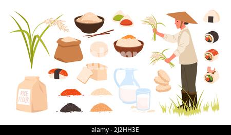 Set di riso crudo e cotto, prodotti di riso e piante, ingredienti e raccolta di pasti Illustrazione Vettoriale