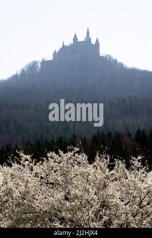 Silhouette del castello di Hohenzollern nel paesaggio del Giura Svevo, nel centro di Baden-Württemberg, Germania. Foto Stock