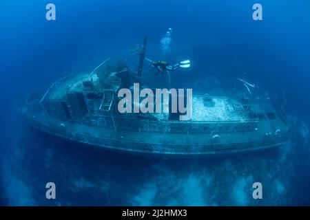 Subacqueo al naufragio della nave della marina della costa TCG 115, una barca della guardia costiera affondata come attrazione per i subacquei, Bodrum, Aegaeis, Turchia, mare Mediteranean Foto Stock