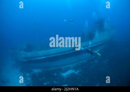 Subacqueo al naufragio Navy nave Pinar i, TCGY111, Bodrum, Aegaeis, Turchia, Mare Mediterraneo Foto Stock