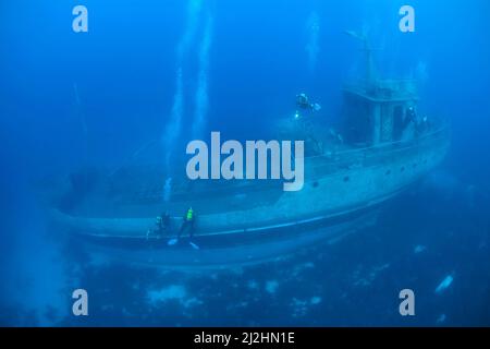 Subacqueo al naufragio Navy nave Pinar i, TCGY111, Bodrum, Aegaeis, Turchia, Mare Mediterraneo Foto Stock