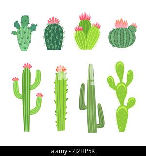 Set di illustrazioni vettoriali per cactus grandi e piccoli. Collezione di cactus, piante tropicali spinose con fiori o fiori, Arizona o Messico succulenti iso Illustrazione Vettoriale