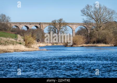 Roxburgh Viadotto, fiume Teviot, Scozia Foto Stock