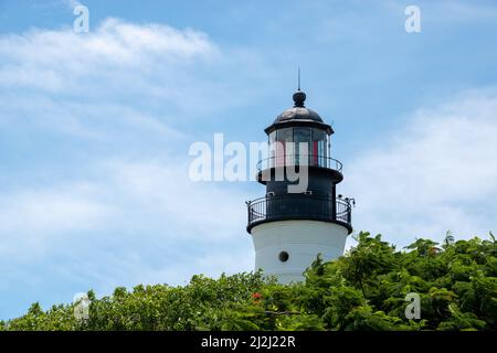 Il Key West Light House si aggetta su un albero a baldacchino Foto Stock